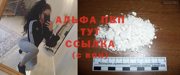индика Абаза