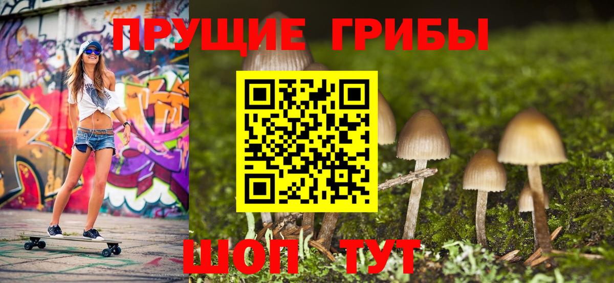 Богородск  Галлюциногенные грибы Magic Shrooms  Вход с VPN 