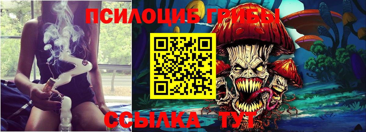 Псилоцибиновые грибы GOLDEN TEACHER Богородск